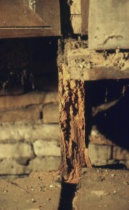 Dettagli condizioni dell'opera prima del restauro- foto Il Restauro srl