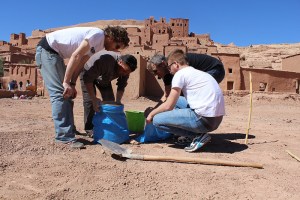 Wasp Project a Marrakech