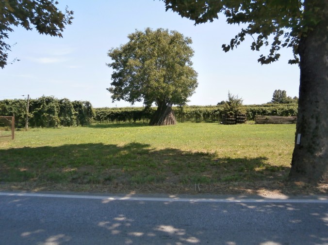 l'arrivo a Massa Lombarda, sede di Vibrazioni Art Design