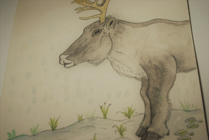 dettaglio renna auguri